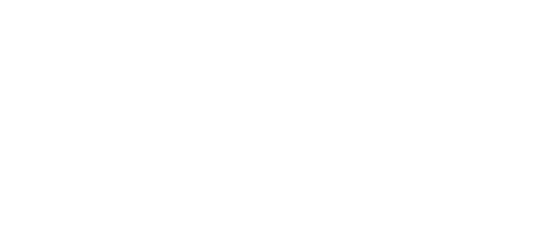 Peachtree Special Risk Brokers Logo