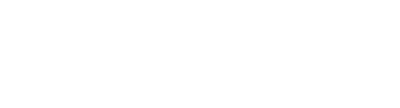 Bridge Specialty Group Logo